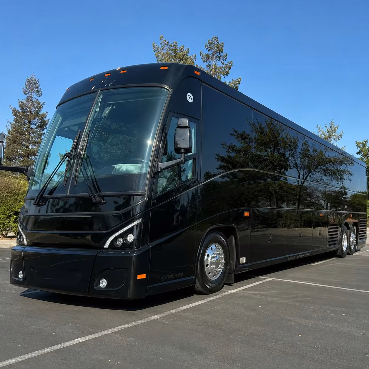 give your frisco sports group corporate team or church group the ride they deserve
